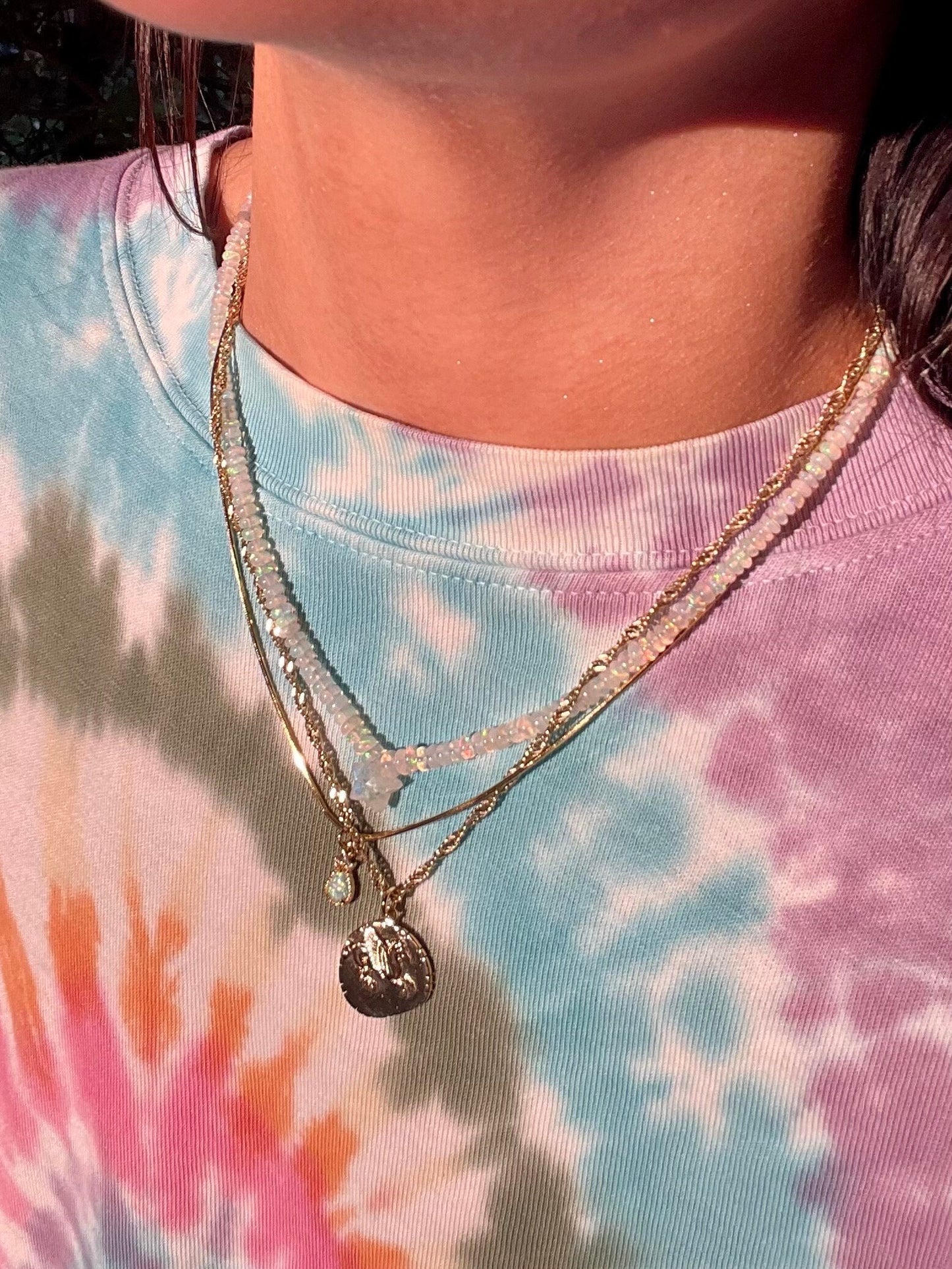 214 Dally Pegasaurus - 14K GF Demi Fine Twisty Chain with Pegasus Coin Pendant